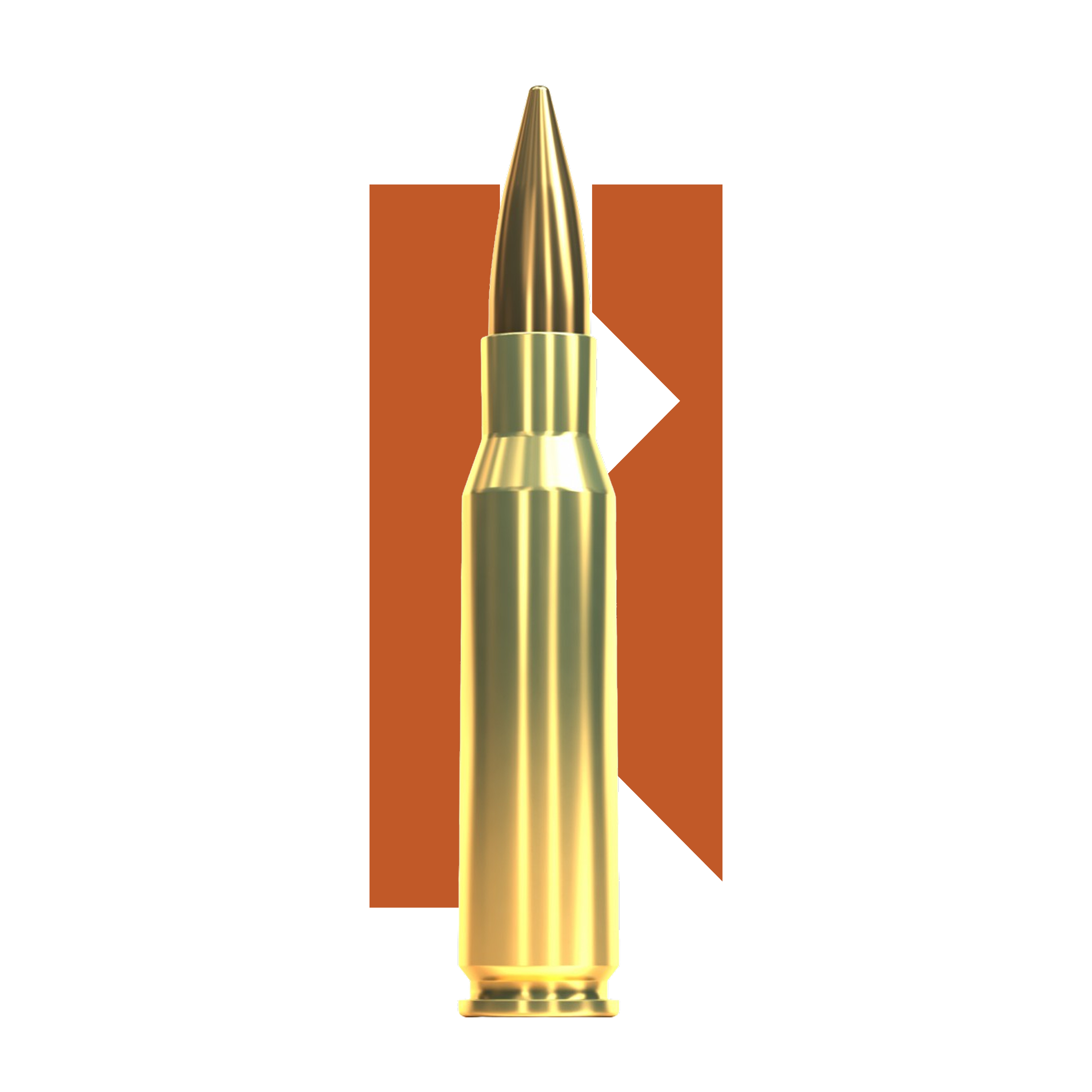 .308Win FMJ Sellier & Bellot
